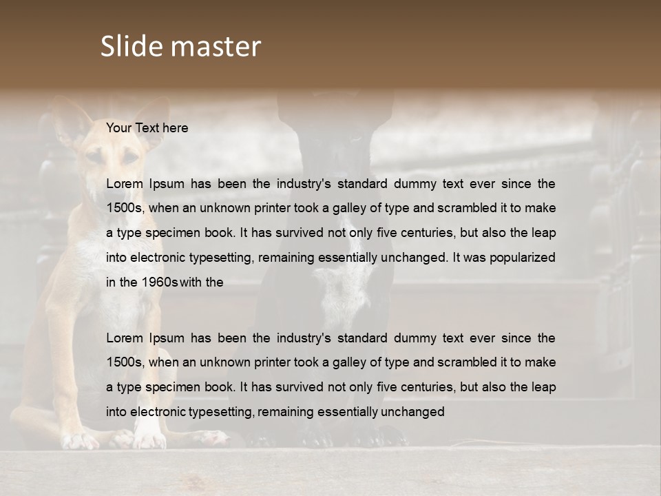 Modern Digital Happy PowerPoint Template