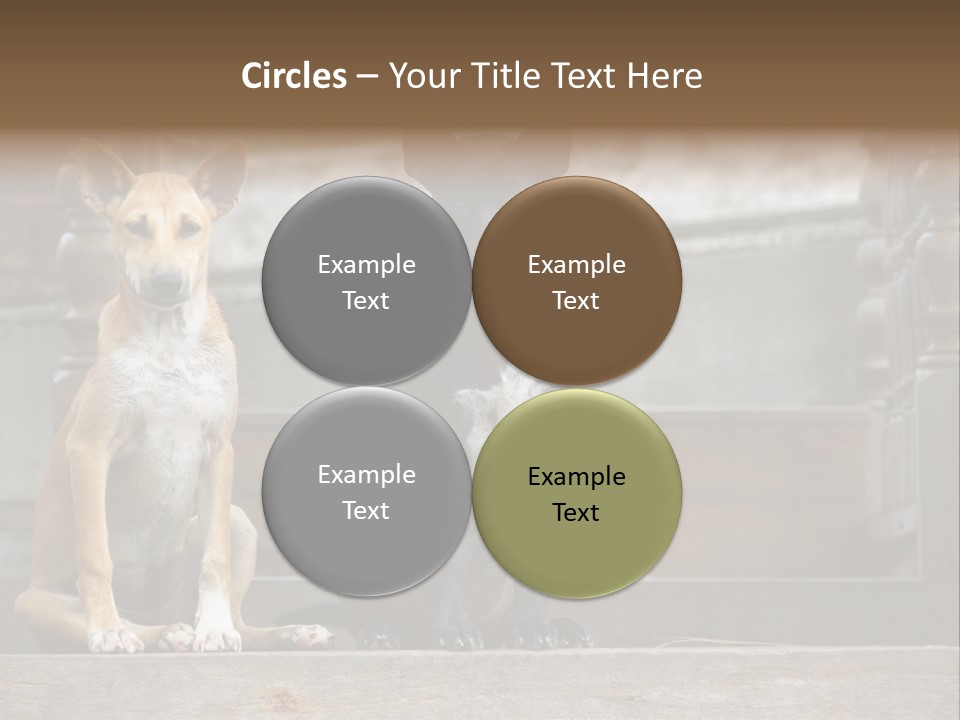 Modern Digital Happy PowerPoint Template