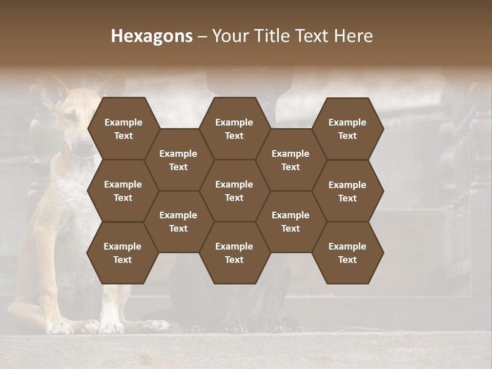 Modern Digital Happy PowerPoint Template