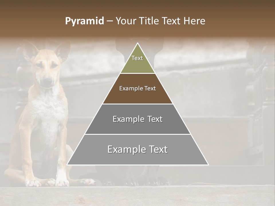 Modern Digital Happy PowerPoint Template