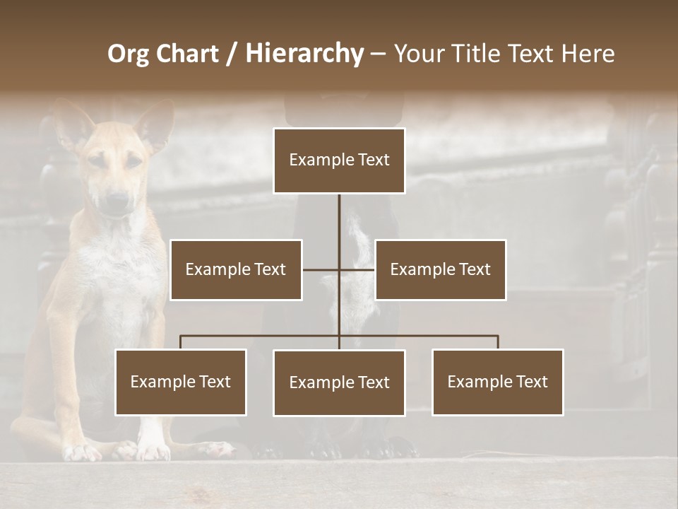 Modern Digital Happy PowerPoint Template