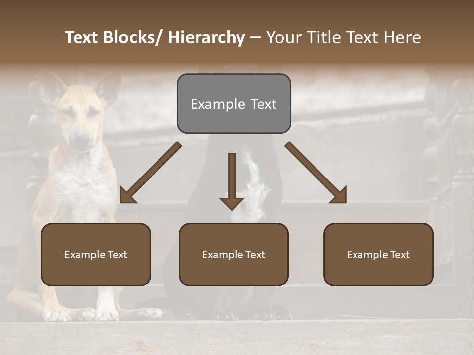 Modern Digital Happy PowerPoint Template