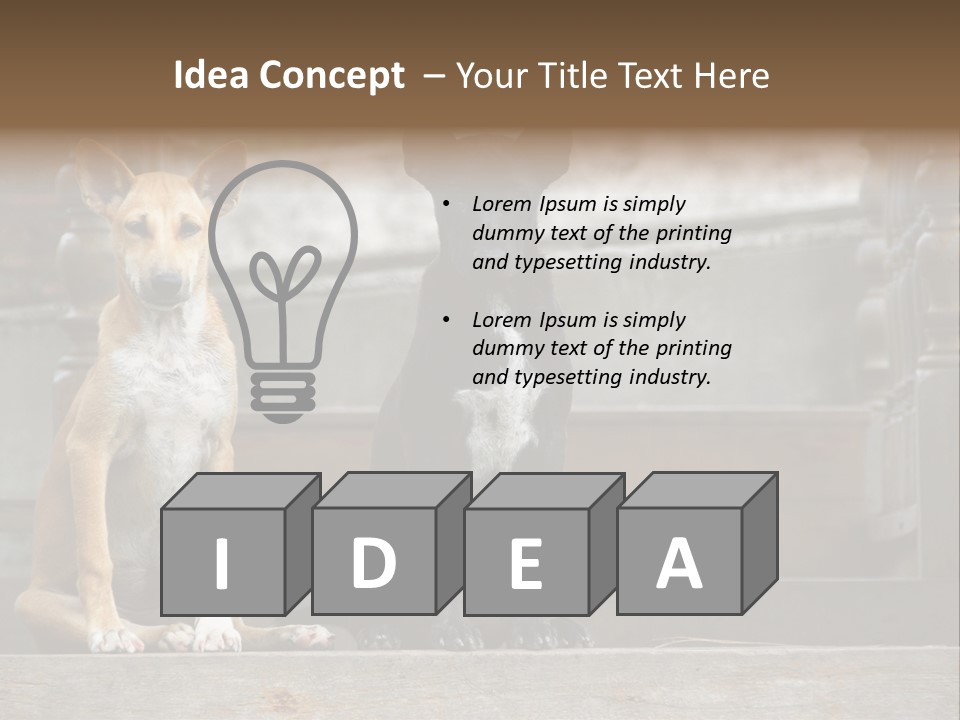 Modern Digital Happy PowerPoint Template