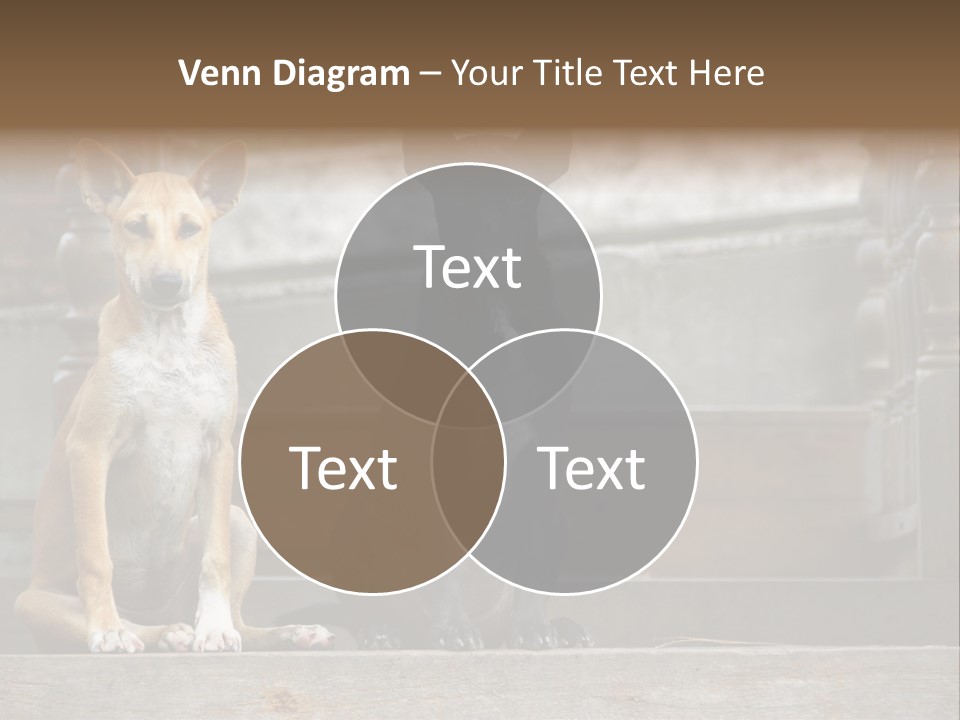 Modern Digital Happy PowerPoint Template