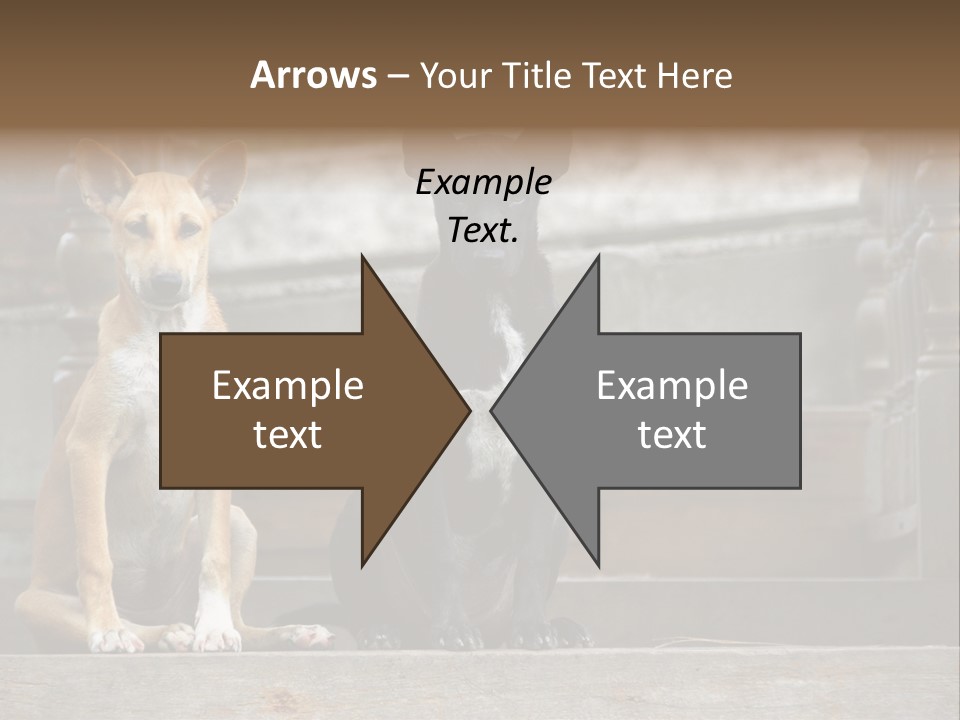 Modern Digital Happy PowerPoint Template