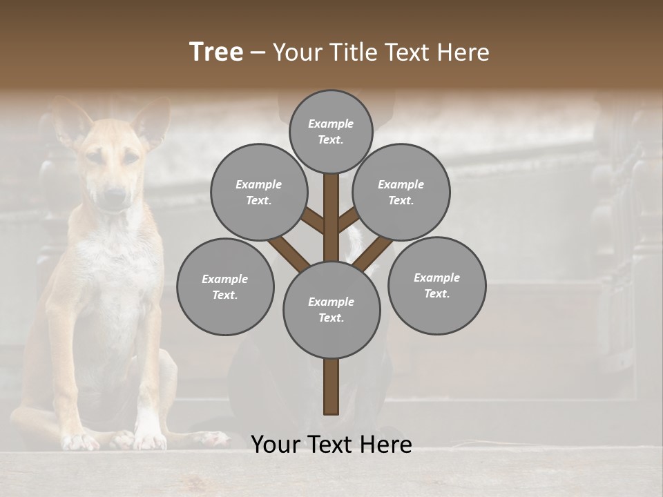 Modern Digital Happy PowerPoint Template