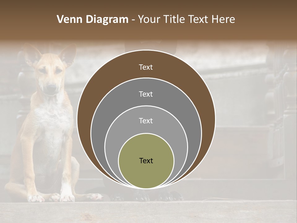 Modern Digital Happy PowerPoint Template