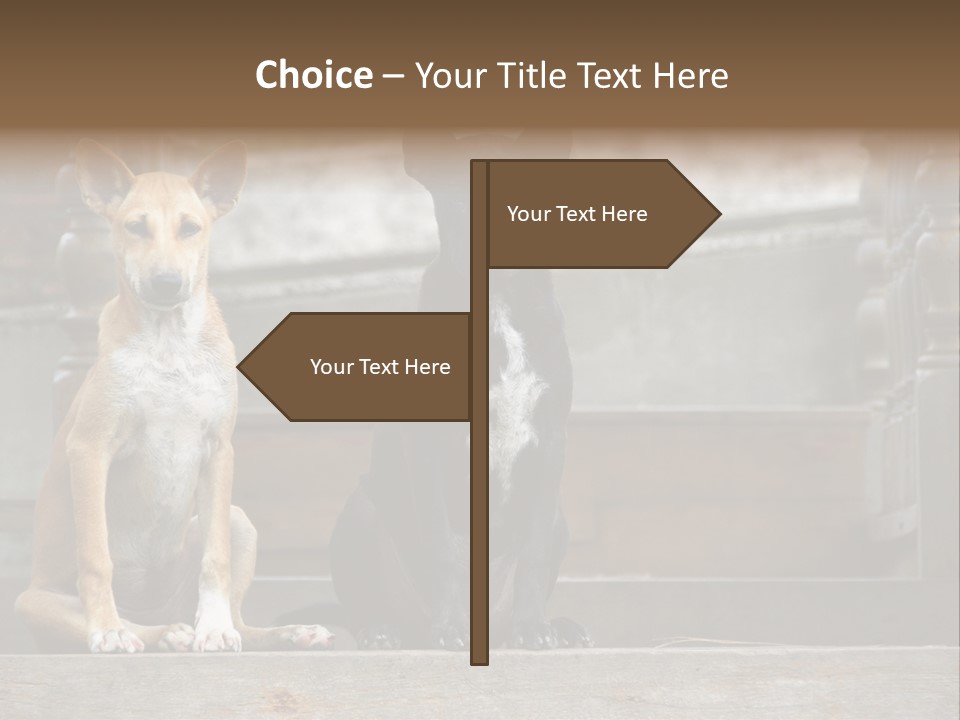 Modern Digital Happy PowerPoint Template
