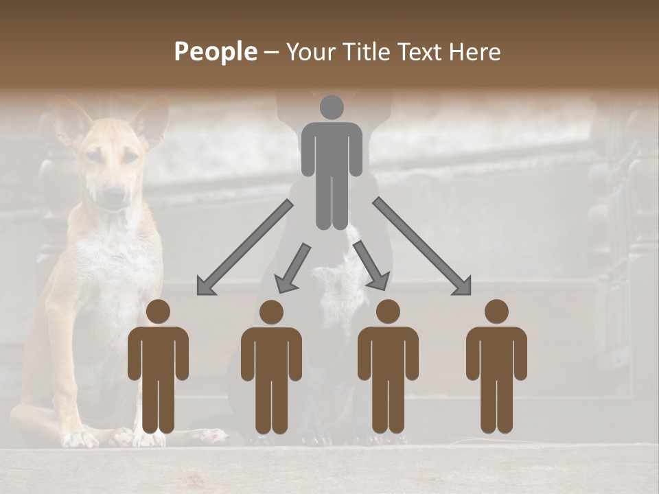 Modern Digital Happy PowerPoint Template