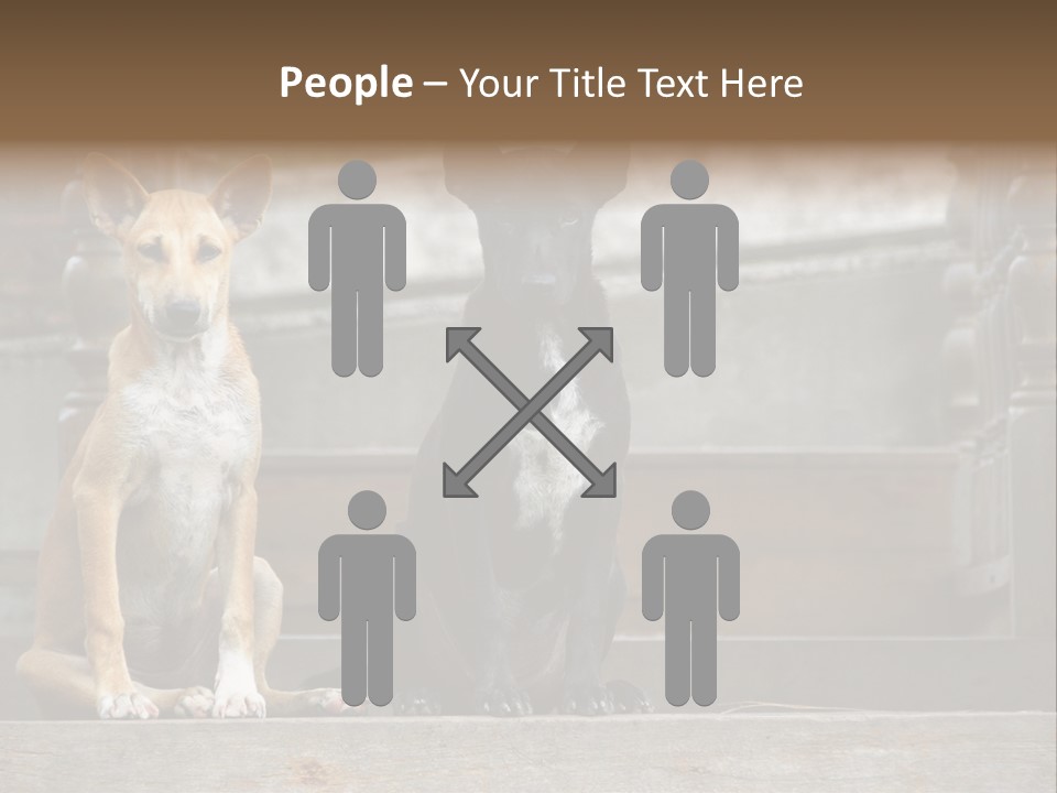 Modern Digital Happy PowerPoint Template