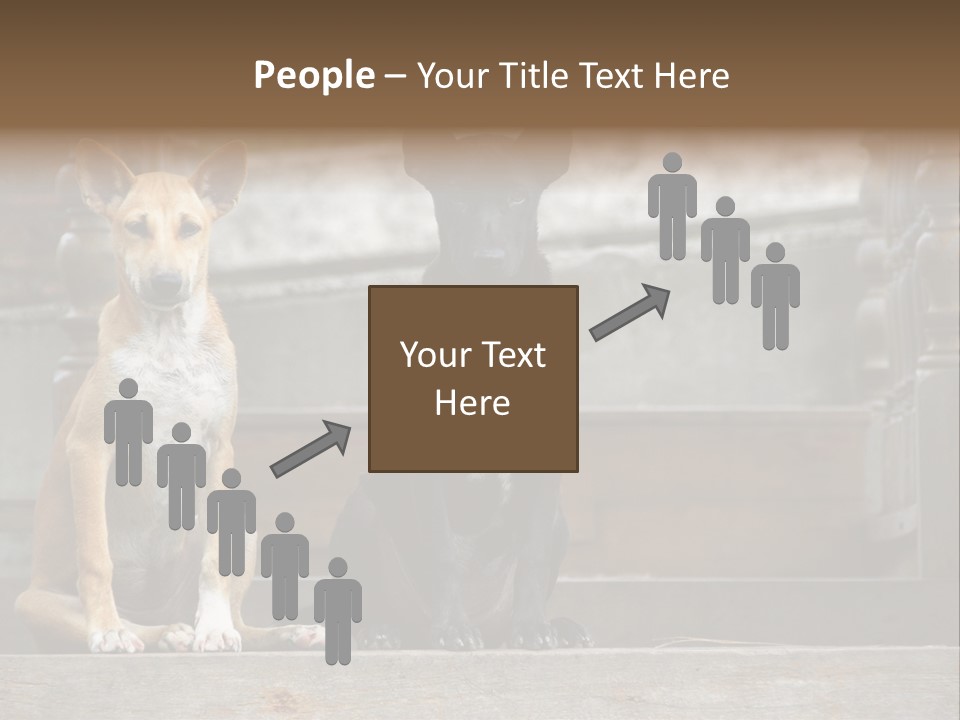 Modern Digital Happy PowerPoint Template