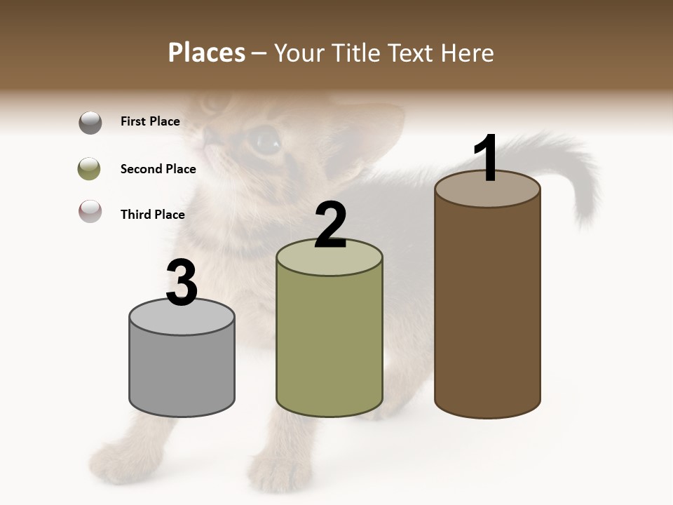 A Small Kitten Standing On Its Hind Legs PowerPoint Template