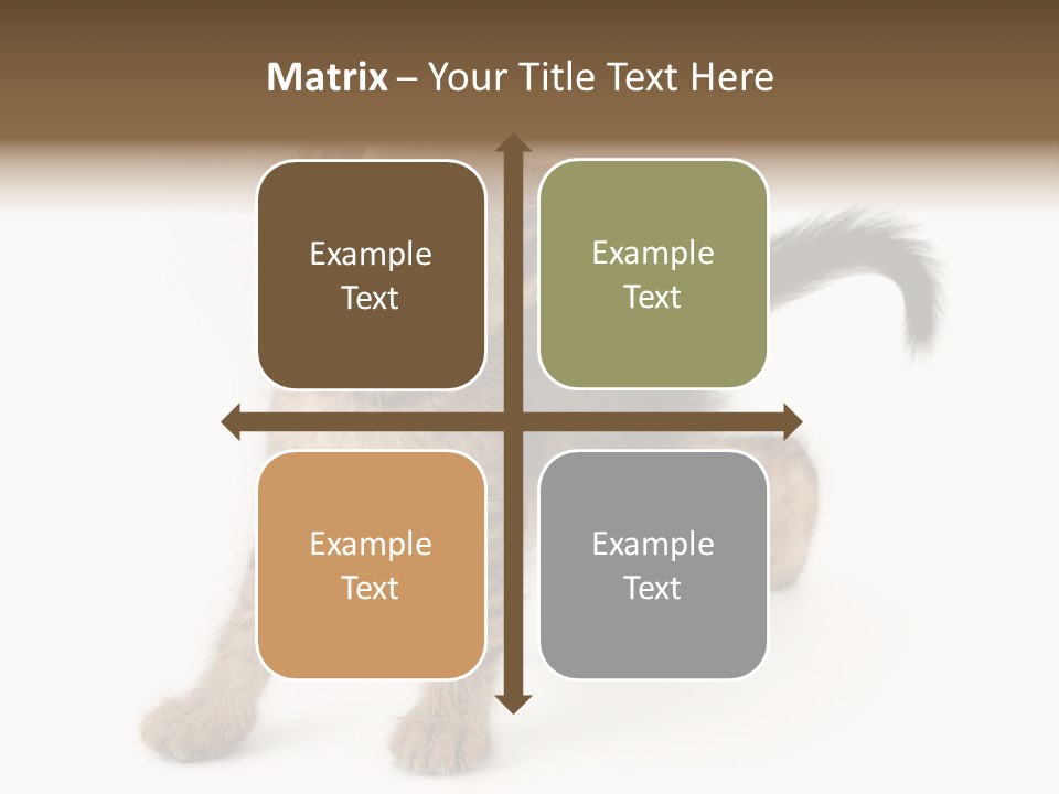 A Small Kitten Standing On Its Hind Legs PowerPoint Template