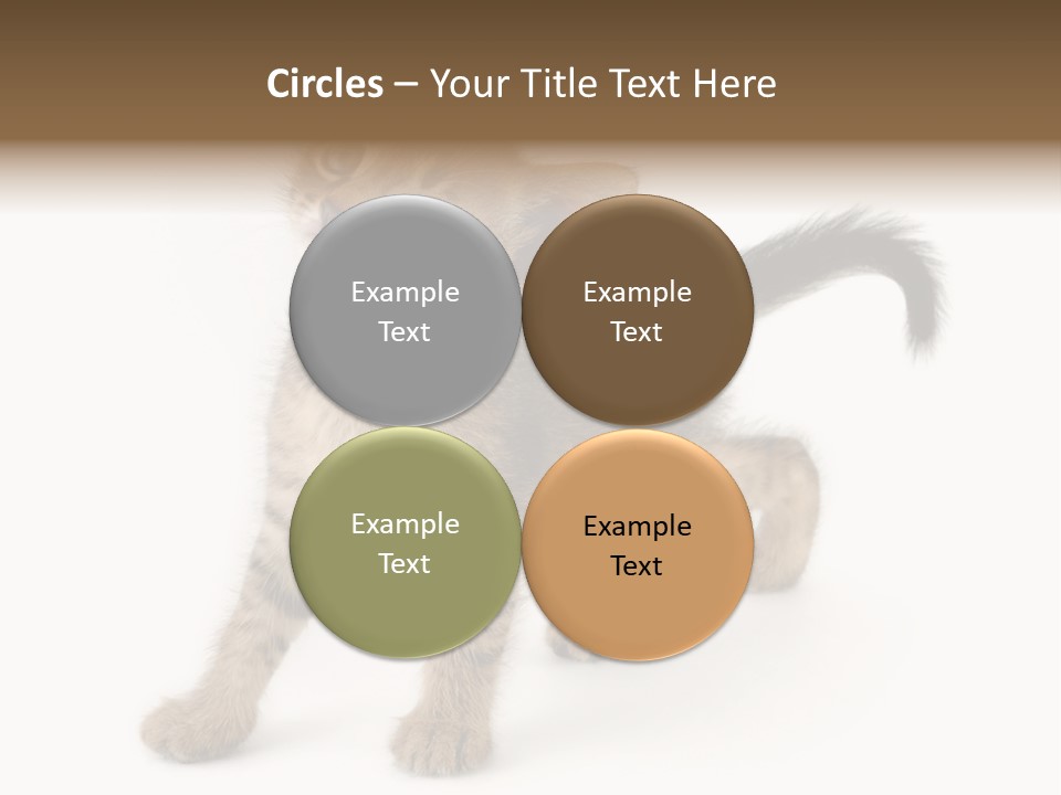 A Small Kitten Standing On Its Hind Legs PowerPoint Template