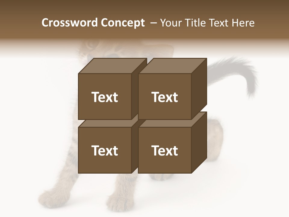 A Small Kitten Standing On Its Hind Legs PowerPoint Template
