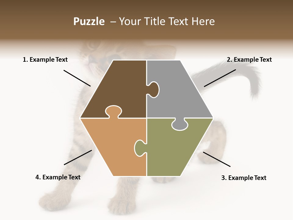 A Small Kitten Standing On Its Hind Legs PowerPoint Template