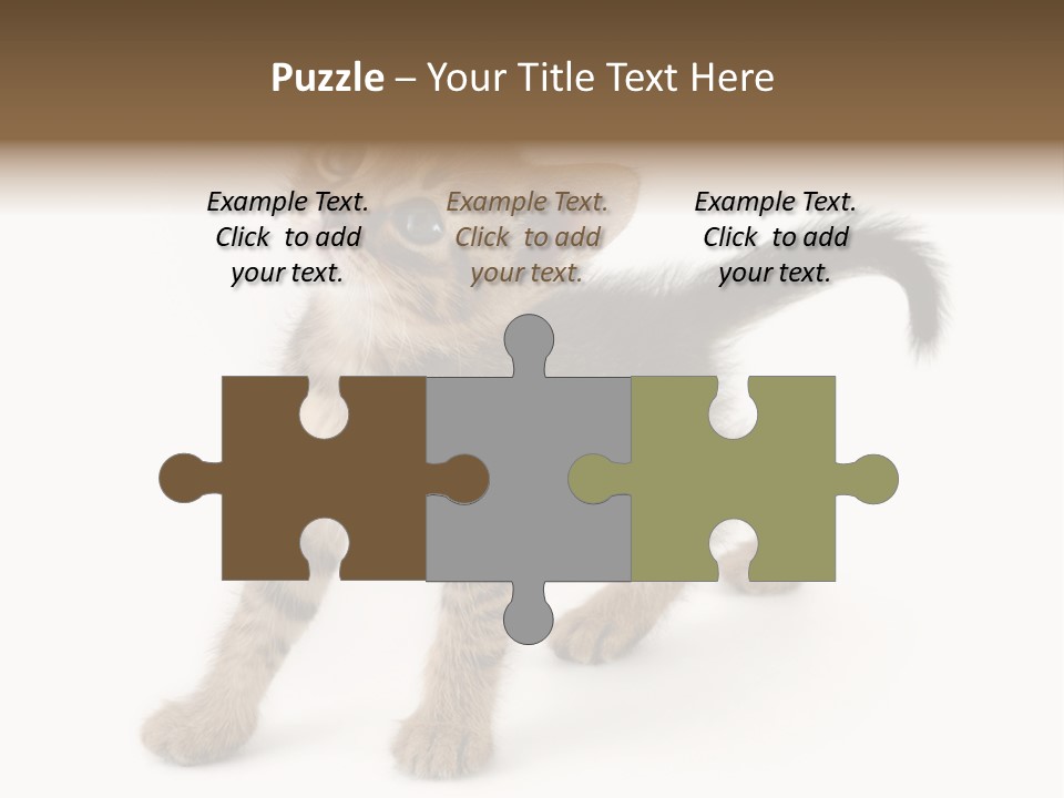 A Small Kitten Standing On Its Hind Legs PowerPoint Template