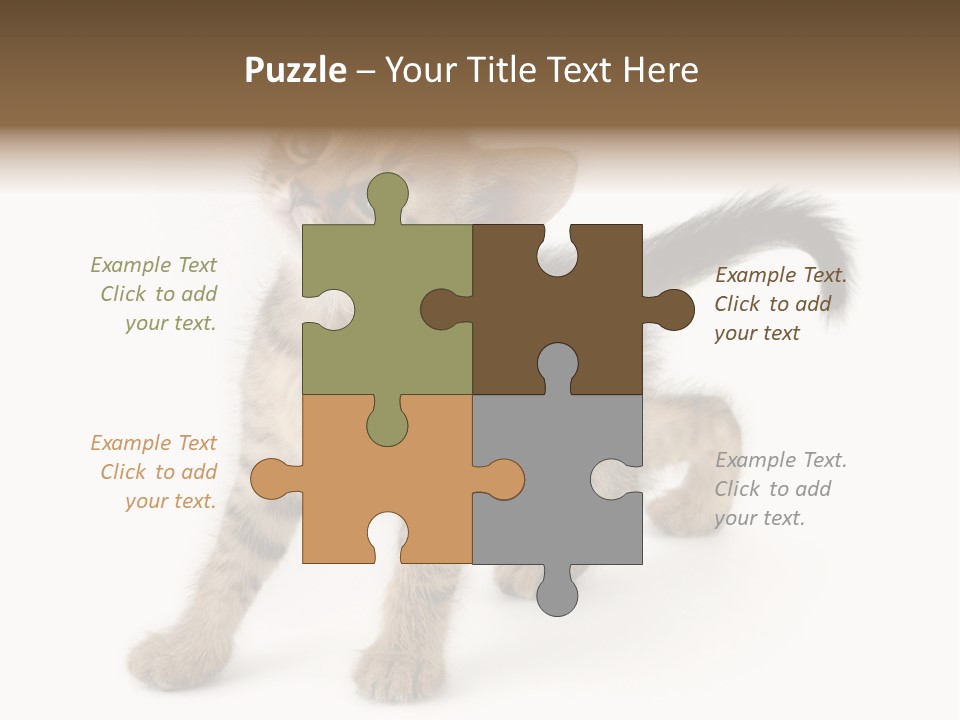 A Small Kitten Standing On Its Hind Legs PowerPoint Template