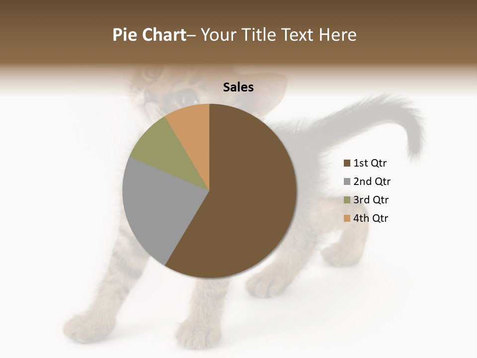 A Small Kitten Standing On Its Hind Legs PowerPoint Template