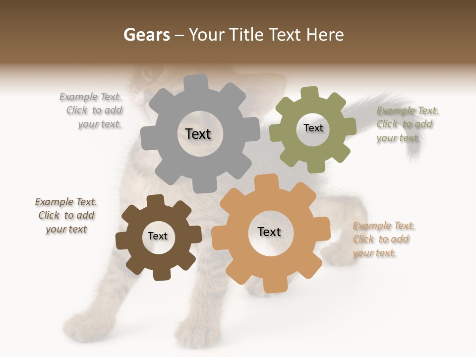 A Small Kitten Standing On Its Hind Legs PowerPoint Template