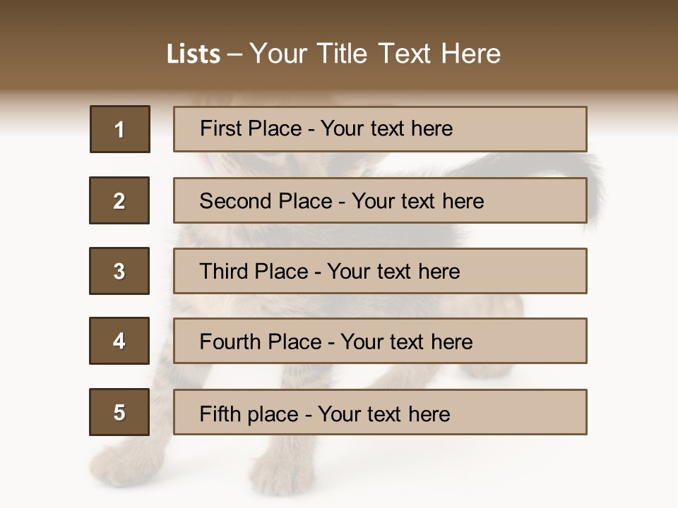 A Small Kitten Standing On Its Hind Legs PowerPoint Template