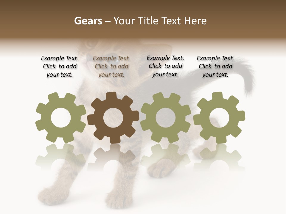 A Small Kitten Standing On Its Hind Legs PowerPoint Template