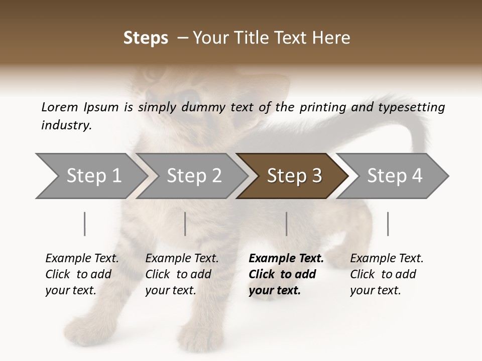 A Small Kitten Standing On Its Hind Legs PowerPoint Template