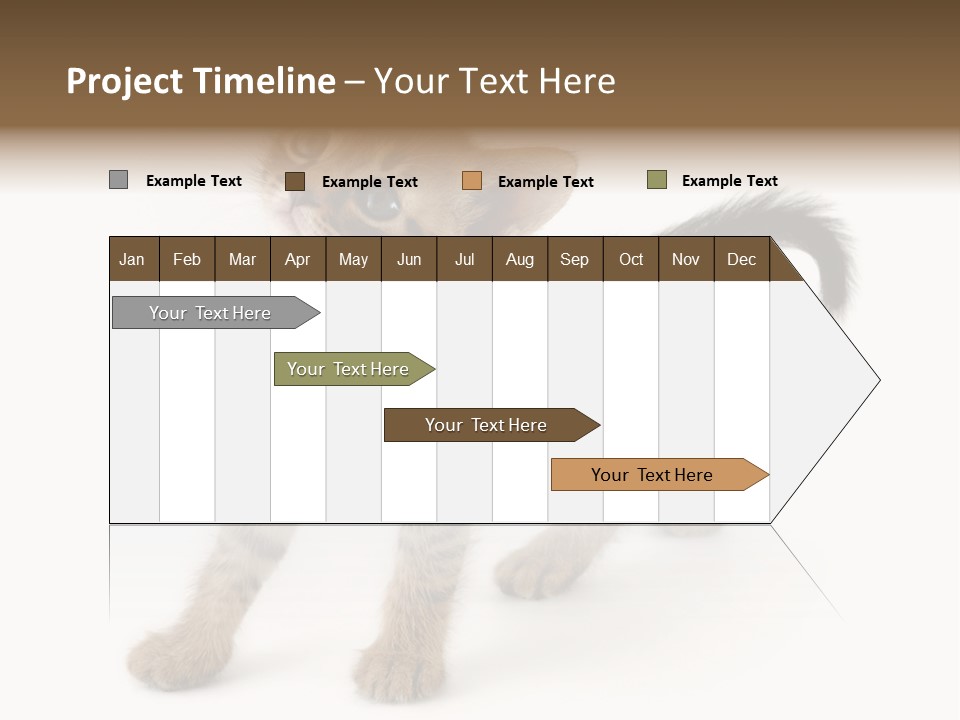 A Small Kitten Standing On Its Hind Legs PowerPoint Template