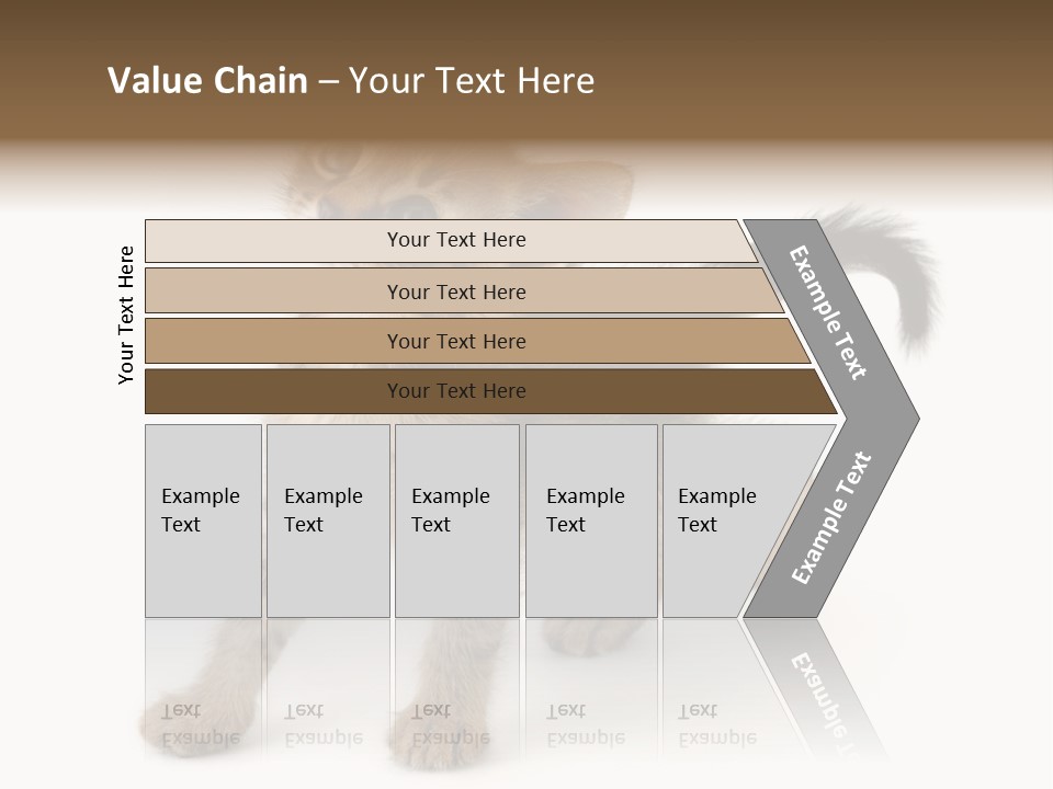 A Small Kitten Standing On Its Hind Legs PowerPoint Template