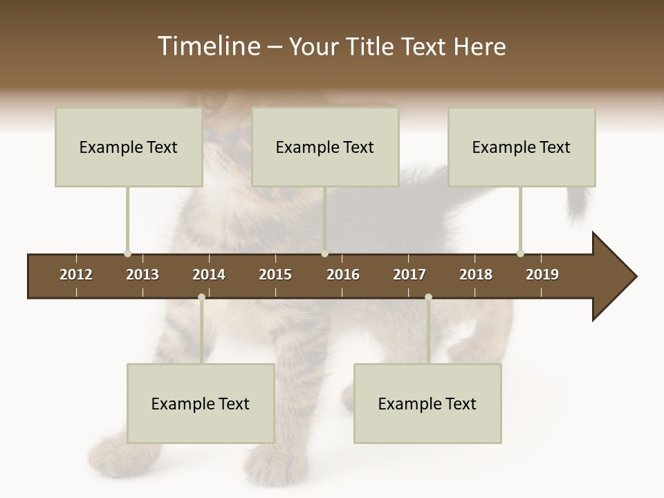 A Small Kitten Standing On Its Hind Legs PowerPoint Template