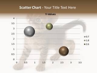 A Small Kitten Standing On Its Hind Legs PowerPoint Template