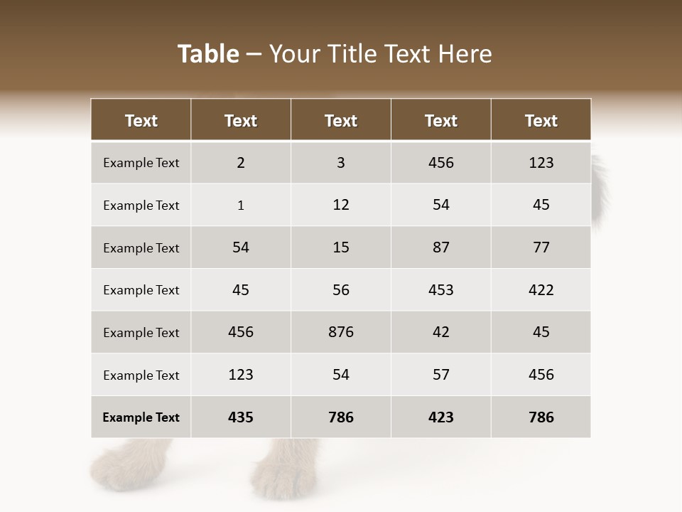 A Small Kitten Standing On Its Hind Legs PowerPoint Template