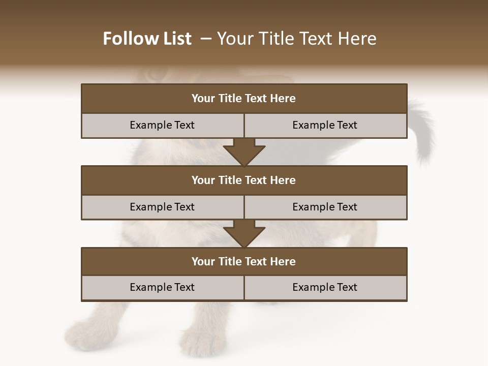 A Small Kitten Standing On Its Hind Legs PowerPoint Template