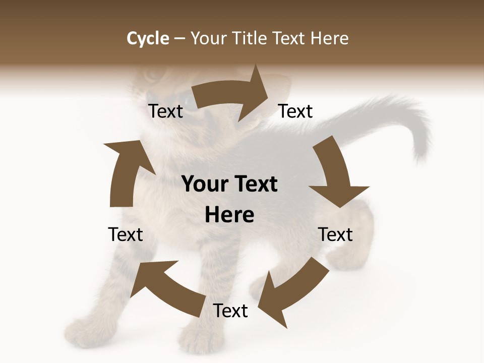 A Small Kitten Standing On Its Hind Legs PowerPoint Template