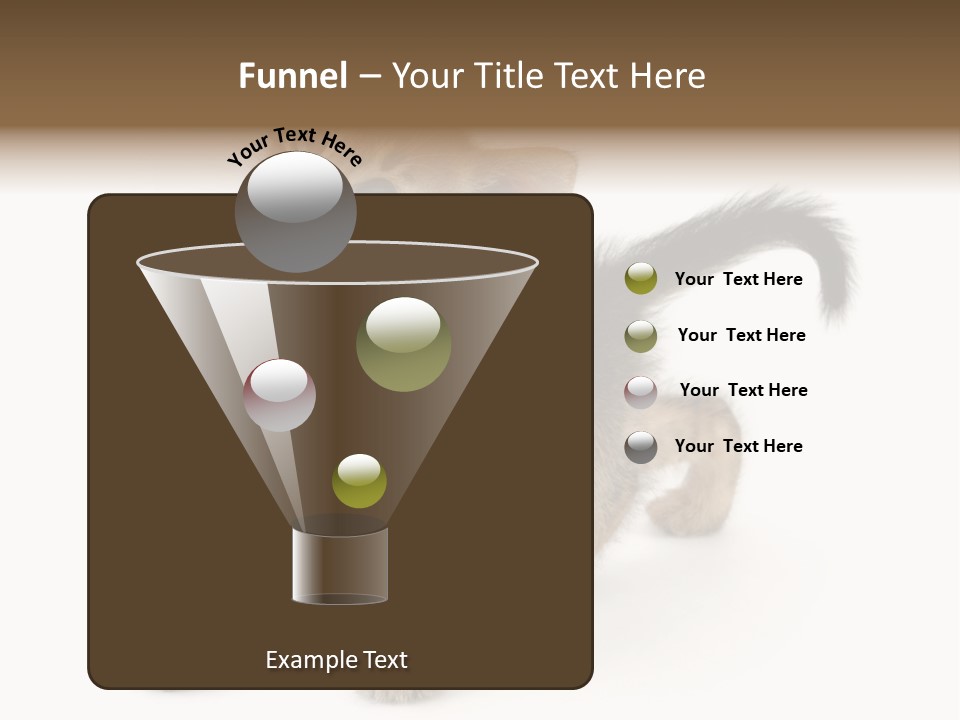 A Small Kitten Standing On Its Hind Legs PowerPoint Template
