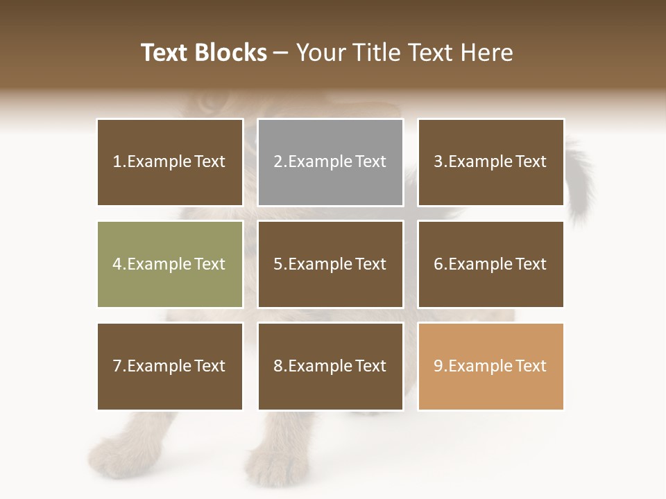 A Small Kitten Standing On Its Hind Legs PowerPoint Template