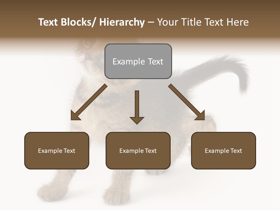 A Small Kitten Standing On Its Hind Legs PowerPoint Template