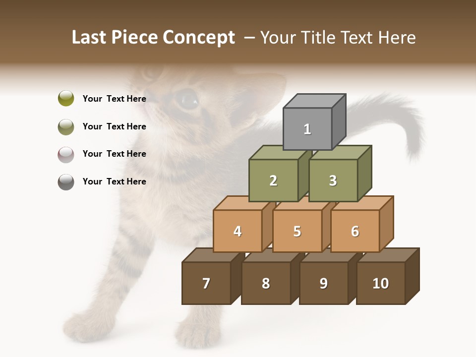 A Small Kitten Standing On Its Hind Legs PowerPoint Template