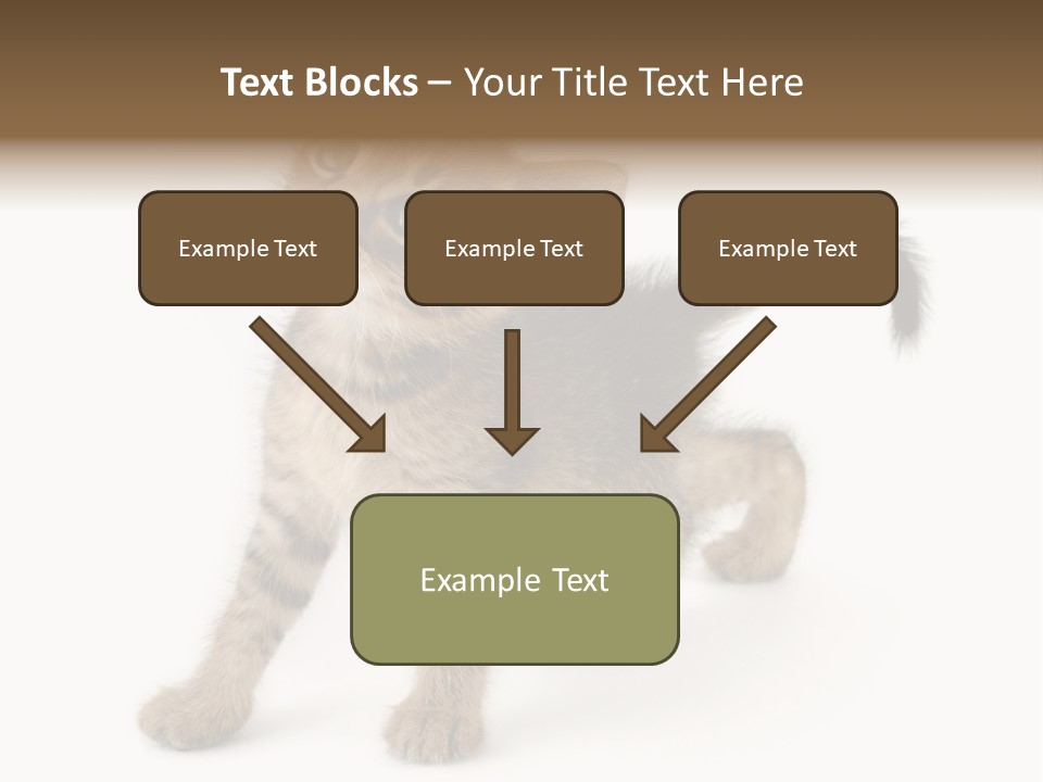 A Small Kitten Standing On Its Hind Legs PowerPoint Template