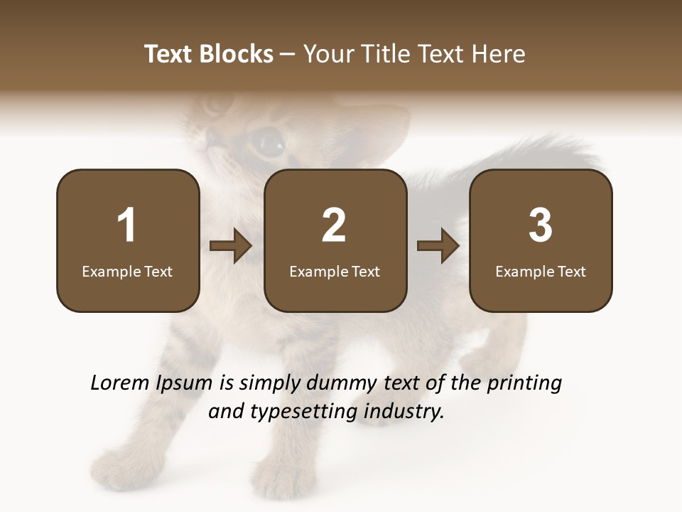 A Small Kitten Standing On Its Hind Legs PowerPoint Template