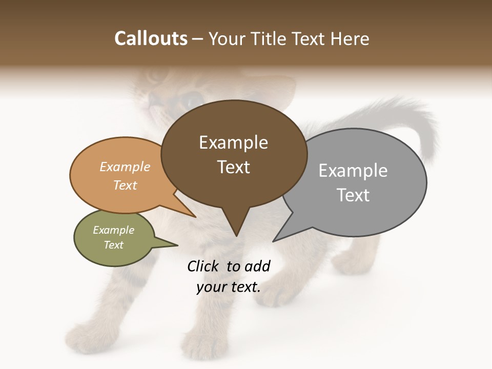 A Small Kitten Standing On Its Hind Legs PowerPoint Template