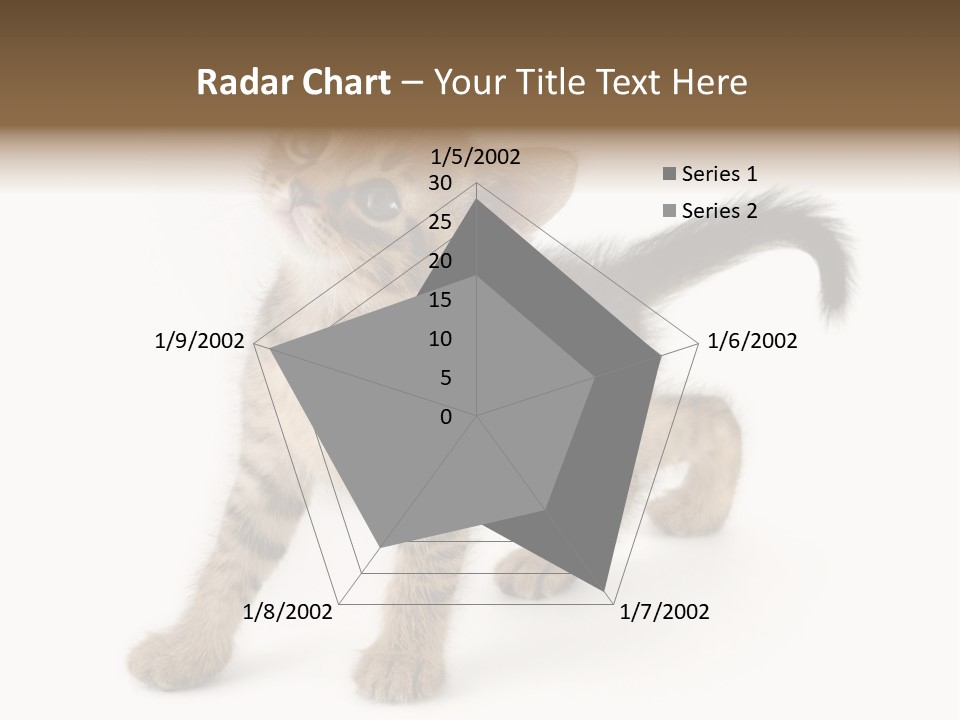 A Small Kitten Standing On Its Hind Legs PowerPoint Template