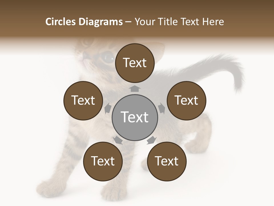 A Small Kitten Standing On Its Hind Legs PowerPoint Template