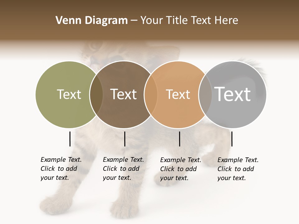 A Small Kitten Standing On Its Hind Legs PowerPoint Template