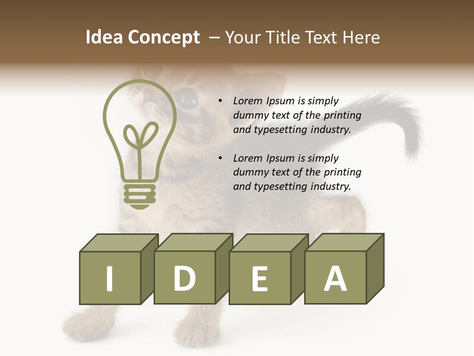 A Small Kitten Standing On Its Hind Legs PowerPoint Template