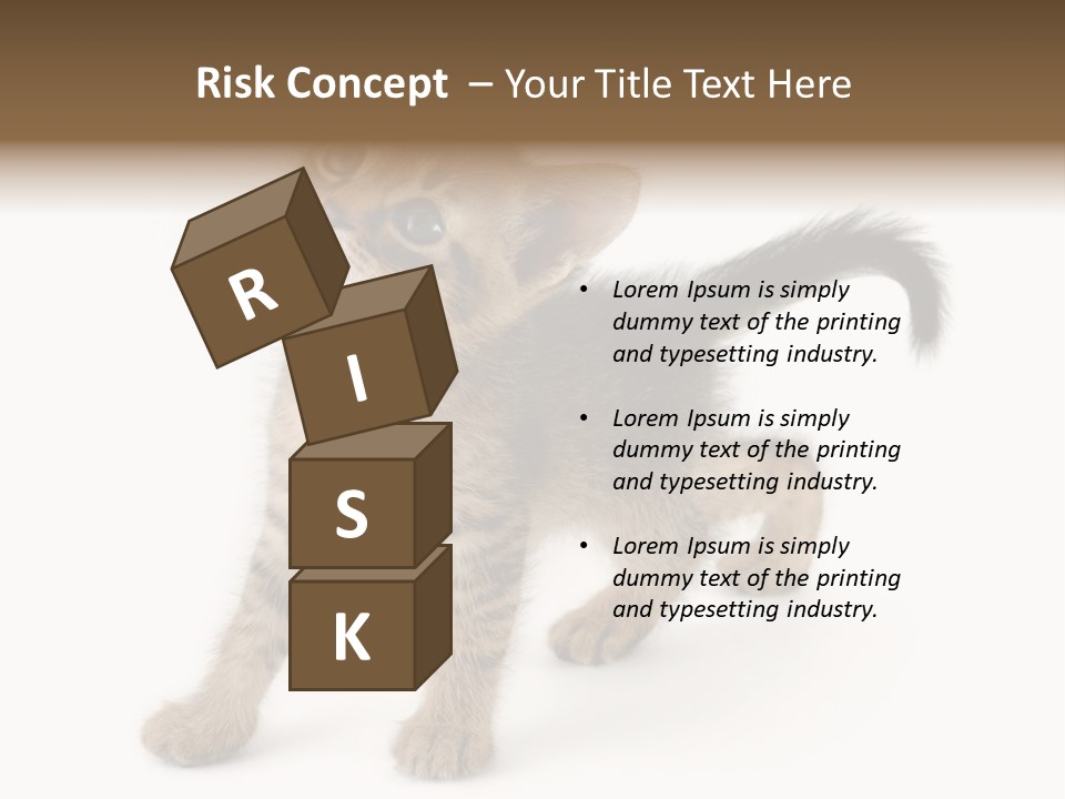 A Small Kitten Standing On Its Hind Legs PowerPoint Template