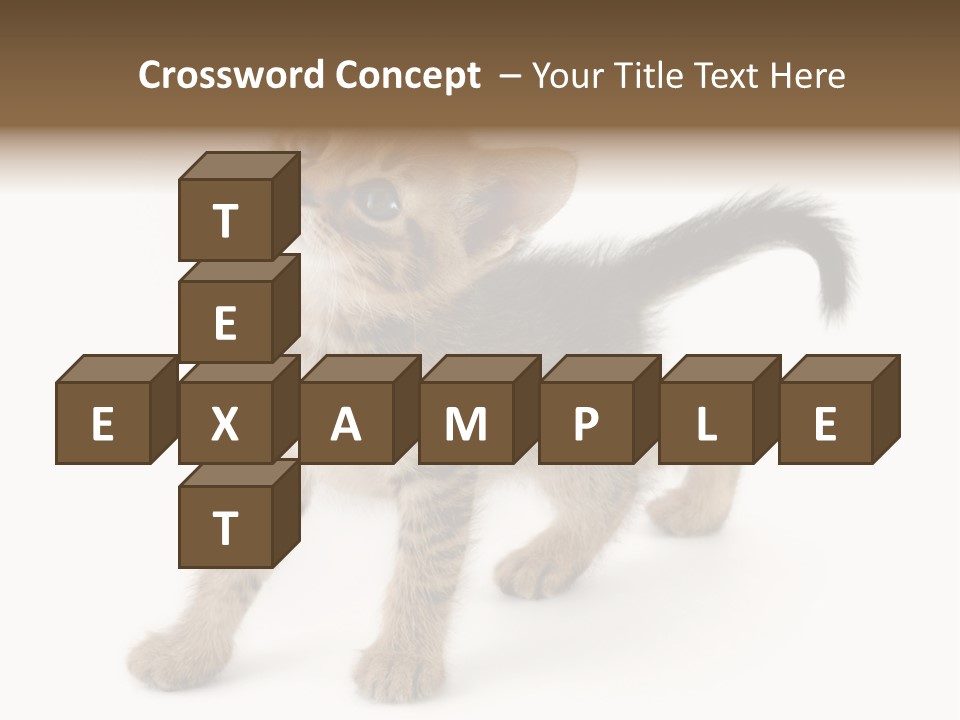 A Small Kitten Standing On Its Hind Legs PowerPoint Template