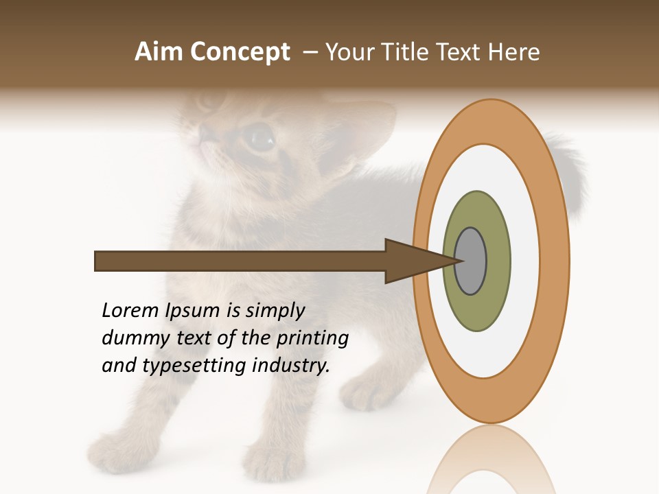 A Small Kitten Standing On Its Hind Legs PowerPoint Template