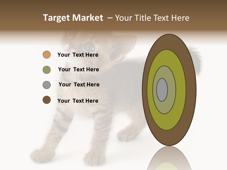 A Small Kitten Standing On Its Hind Legs PowerPoint Template