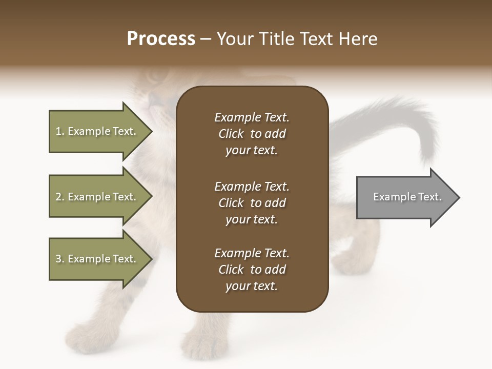 A Small Kitten Standing On Its Hind Legs PowerPoint Template